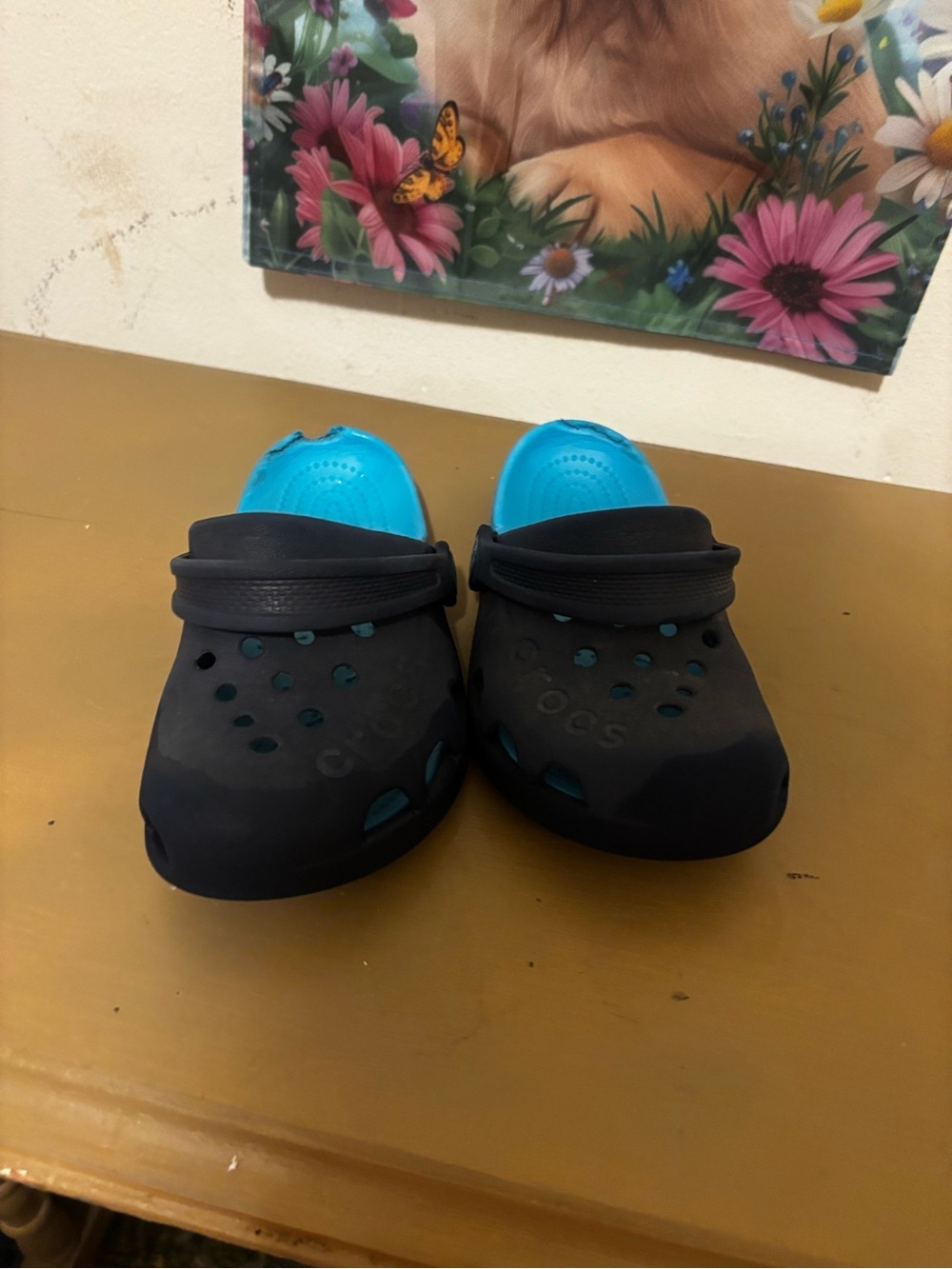 CROCS Kids' Clog in Black with Bright Blue Lining